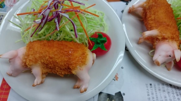 Minature Pigs And Miso Soup?